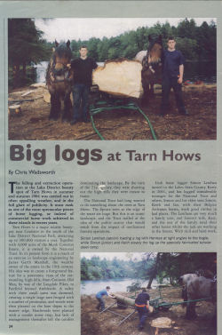 horse logging articles